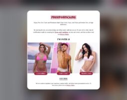 Free Porn Cams