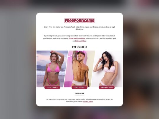 Free Porn Cams