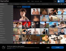 Gay Live Chatting