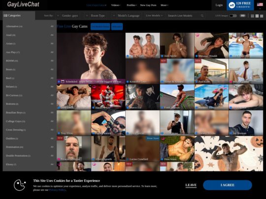 Gay Live Chatting