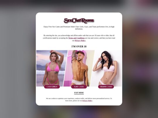 Sex Chat Rooms